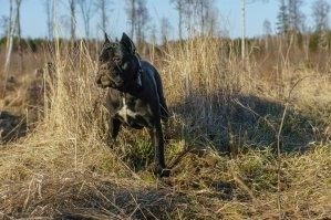 Вот бы его пощупал мой красавчик