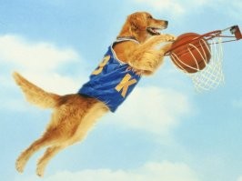 Ну вот точно вам говорю - это негр!