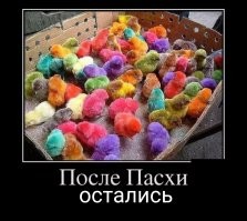 Весёлые истории о нас, очередной выпуск
