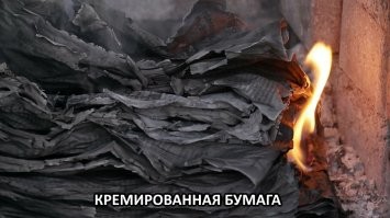 Что было изначально только мужским, а стало исключительно женским