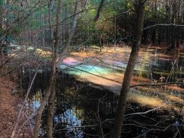 кроме ржавеющей на дне легковушки с лева)