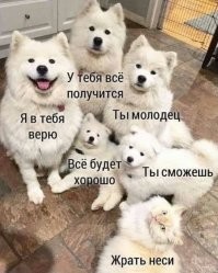 Сохраните и читайте, когда будет плохое настроение