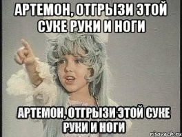 В Москве бойцовский пёс напал на женщину с маленькой собакой