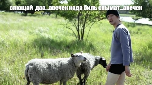Двум жительницам Дагестана угрожают уголовным делом из-за фото