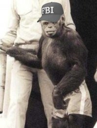 30 интересных фактов из онлайн-сообщества "Сегодня я узнал, что..."