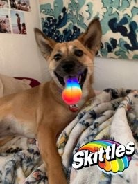 Это не реклама , просто трон навеял :