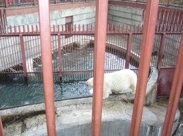 та мячик съел...лет 14 тому как там с дочкой бывали...жаль его..и подруга у него осталась