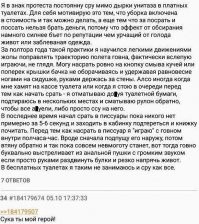 Вот это туалет моей мечты!