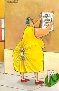 Смешные и познавательные картинки