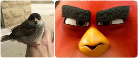 Смешные и познавательные картинки