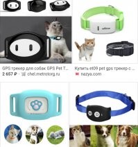 Мышь. Проглотила. Трекер. 
Отобрав у кота. 
Я боюсь этого монстра. 
Девайс- то не такой уж и маленький. 

И да. Под землёй, он работать не будет. 
Радиоволны, знаете-ли, на таких частотах, через землю не проходят.