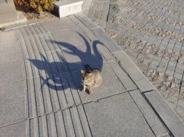 Это ж Гуся...