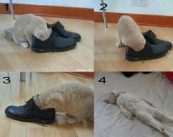 Намешалось