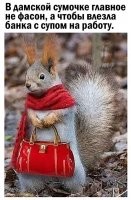 Так жена искала сумочку, показывает. Я говорю, сюда банка борща не влезет.
Как возмутилась продавщица. "да вы что! Это модельная сумочка, какая банка борща!".