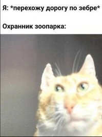 Только сторож зоопарка может позволить себе каждую ночь кататься на ягуаре.