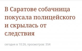 В оправдание полицейских - я бы тоже охренел
