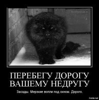 Скрины из соцсетей