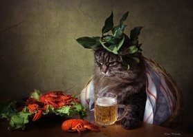 без проблем... и с котиком...