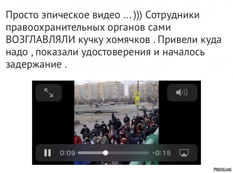 Толпа баранов .