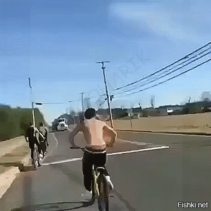 Смешные комментарии из соц.сетей