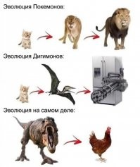 Намешалось