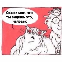 Смешные и познавательные картинки