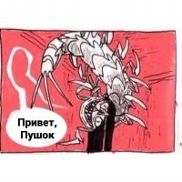 Смешные и познавательные картинки