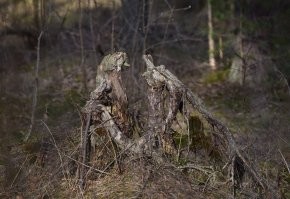 Нет, ваши глаза вас не обманывают, а вот с реальностью явно что-то не так