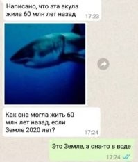 Ученые за 40 секунд показали, как миллионы лет меняли нашу Землю