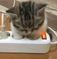 Просто на подзарядке для ночного бесо.бства.