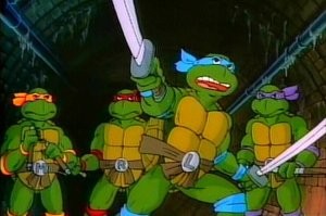 Во Флориде черепаха в полёте пробила стекло и чуть не покалечила пенсионерку