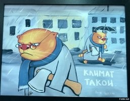 Смешные комментарии из соц.сетей