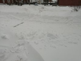 Снега было почти по пояс!