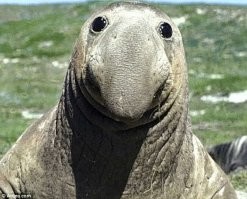 Девушка установила камеру на кормушку, чтобы сделать уникальные фотографии птиц