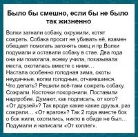 С волками жить, по-волчьи выть