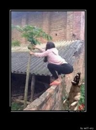 Кусь тебя: как кусаются разные животные