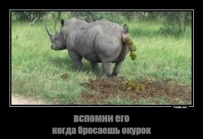 Ну... он по крайней мере в одну кучу срет...