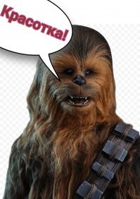 Купальник с повышенной волосатостью для самых смелых девушек