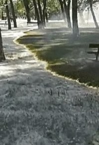 Тому, кто это делает надо руки оторвать (а так же поджигает прошлогоднюю траву) - там же столько жучков-паучков погибает, остаётся выжженная пустыня!