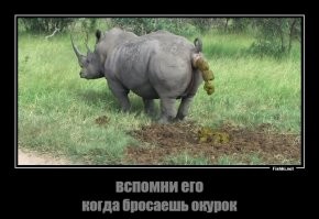 Какая-то колбаса для веганов