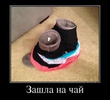 Яркий юмор для души