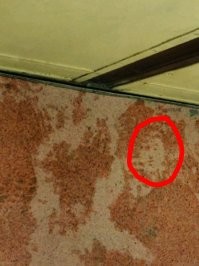 Картинки, которые напомнят вам о том, сколько в жизни удивительного