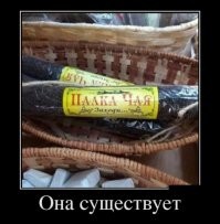 Яркий юмор для души