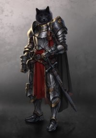 Колоритные и красивые котики