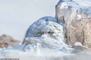 Русское терпение
