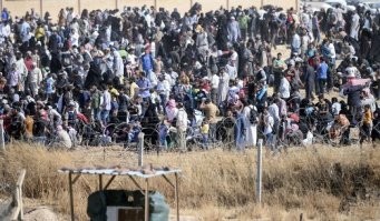 Пускай завозят больше мамедов, тогда там блондинов не останется не через 100, а через 30 лет.