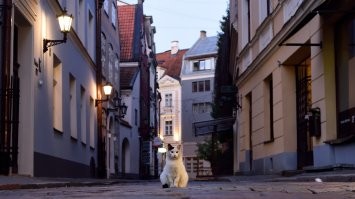 Старая Рига .