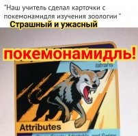 Картинки, которые напомнят вам о том, сколько в жизни удивительного
