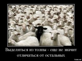 Разрушая шаблоны: нюансы, которые не вписываются в общую картину