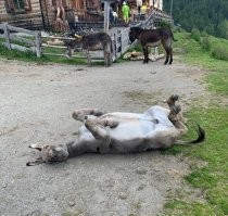 Мелочь, конечно, но где ж паренек-то? Девочка!